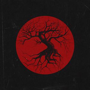 日韩无码一二三区
