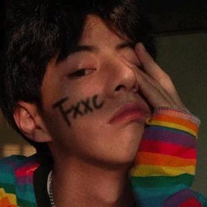 日韩无码一二三区
