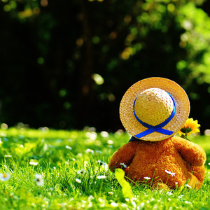 日韩无码一二三区
